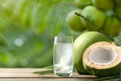 ¿Pueden los gatos beber agua de coco? Información por veterinarios