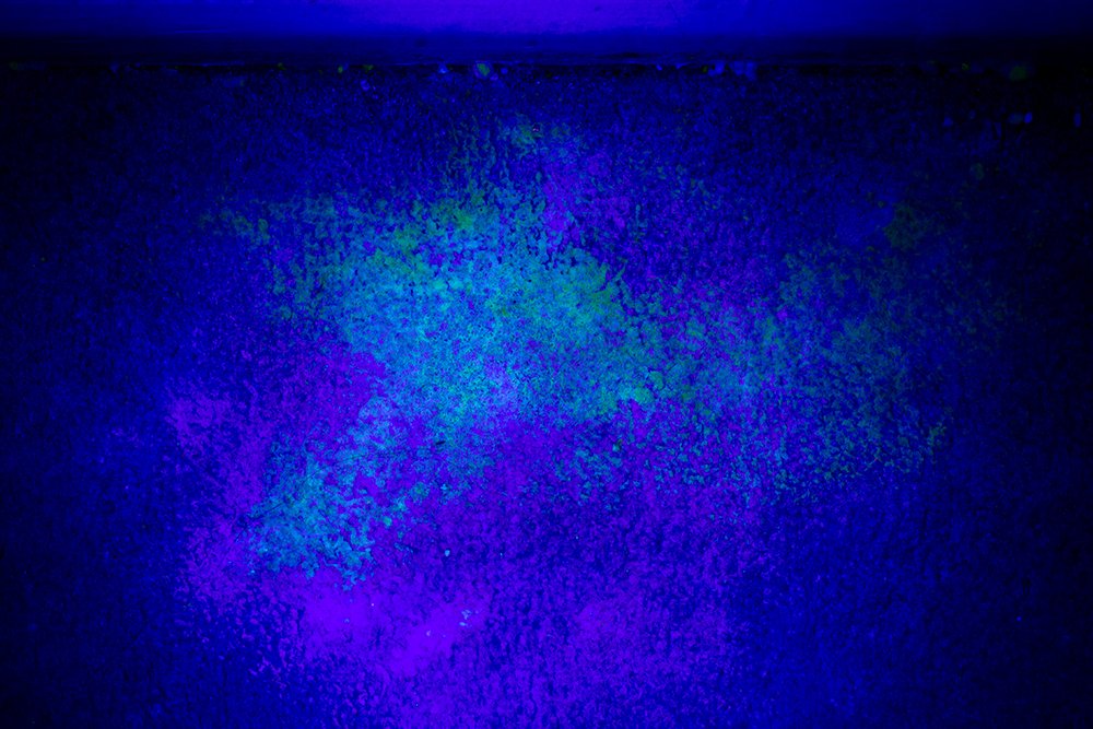 mancha de orina en la alfombra vista con luz ultravioleta