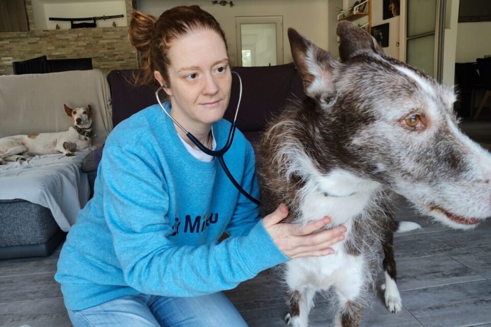 Dr. Milou en Aix-en-Provence con la veterinaria Dra. María Casares