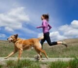 correr con tu perro, instrucciones